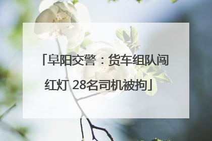 阜阳交警：货车组队闯红灯 28名司机被拘